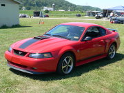 Mustang
